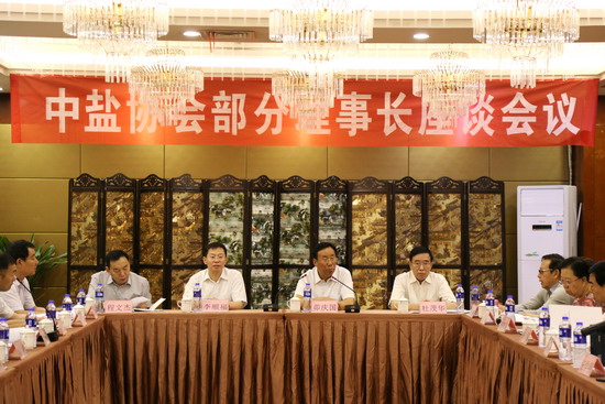 中国盐业协会部分理事长座谈会在西宁召开